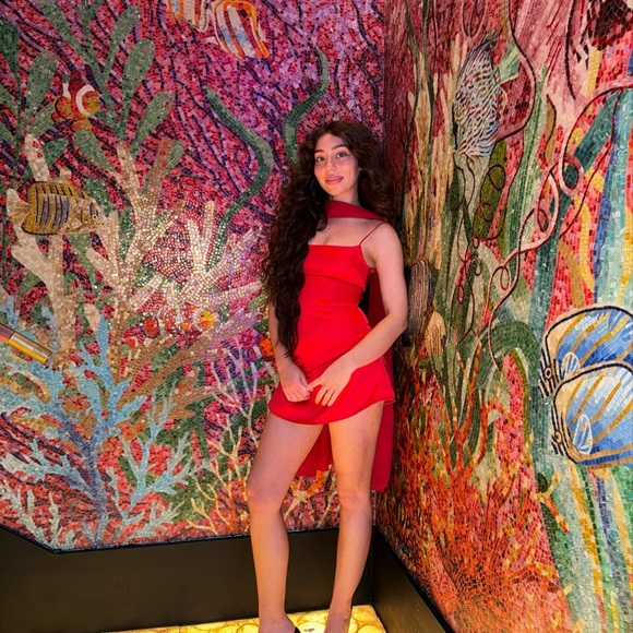 Cherie Attire Red Dress and Matching Scarf - Picture 2 of 2